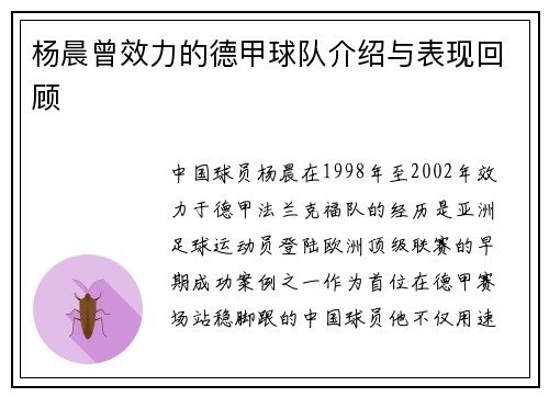 杨晨曾效力的德甲球队介绍与表现回顾